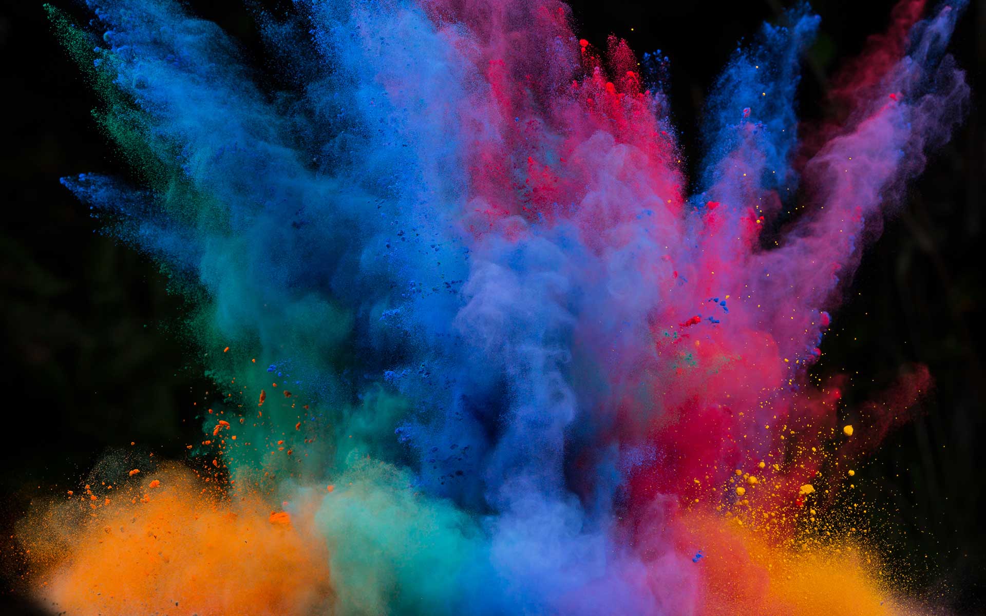 Create an Empowered Culture